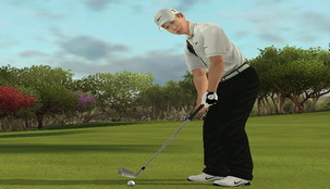 老虎伍茲 10 Tiger Woods PGA Tour 2010 USA WII(美版)