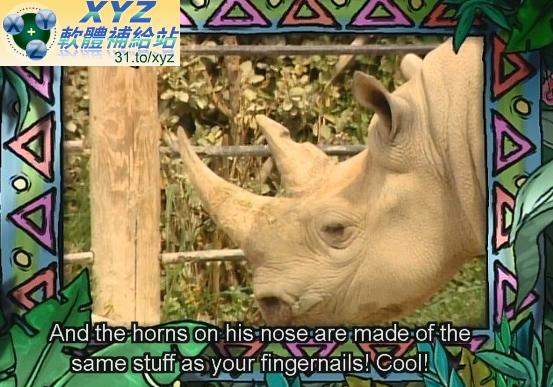 紫色小恐龍班尼 Barney 暢遊動物園 LETS GO TO THE ZOO(完) 英語/粵語發音 英文/繁體中文字幕正式版(幼兒教學)(適用任何家用DVD播放機)(DVD版)